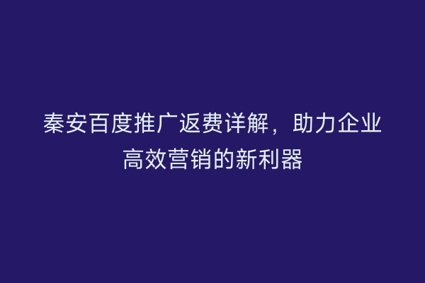 秦安百度推广返费详解,助力企业高效营销的新利器