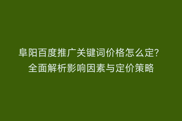 阜阳百度推广关键词价格怎么定?全面解析影响因素与定价策略