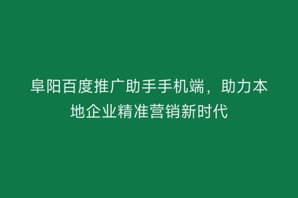 阜阳百度推广助手手机端，助力本地企业精准营销新时代
