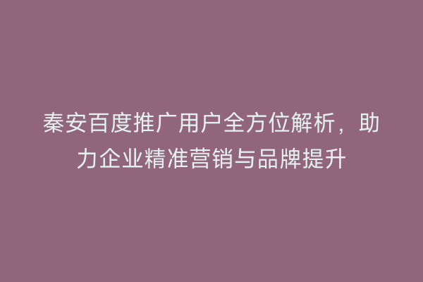 秦安百度推广用户全方位解析,助力企业精准营销与品牌提升