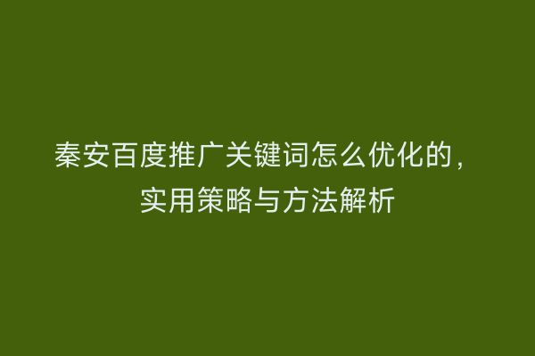 秦安百度推广关键词怎么优化的,实用策略与方法解析