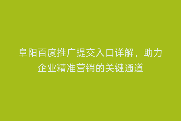 阜阳百度推广提交入口详解,助力企业精准营销的关键通道