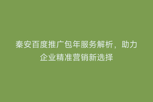 秦安百度推广包年服务解析,助力企业精准营销新选择