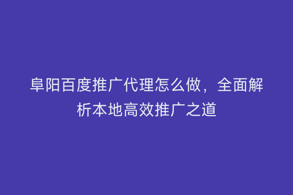 阜阳百度推广代理怎么做，全面解析本地高效推广之道