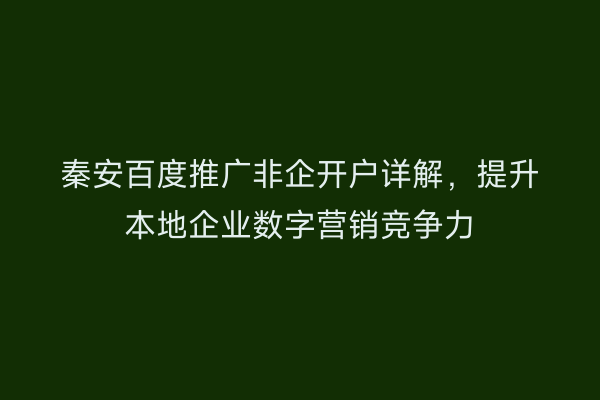 秦安百度推广非企开户详解,提升本地企业数字营销竞争力