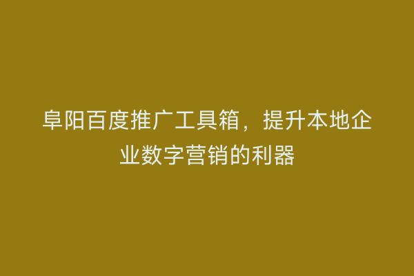阜阳百度推广工具箱，提升本地企业数字营销的利器