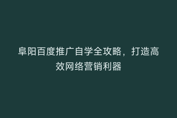 阜阳百度推广自学全攻略,打造高效网络营销利器