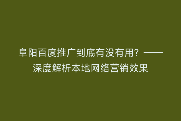 阜阳百度推广到底有没有用？——深度解析本地网络营销效果