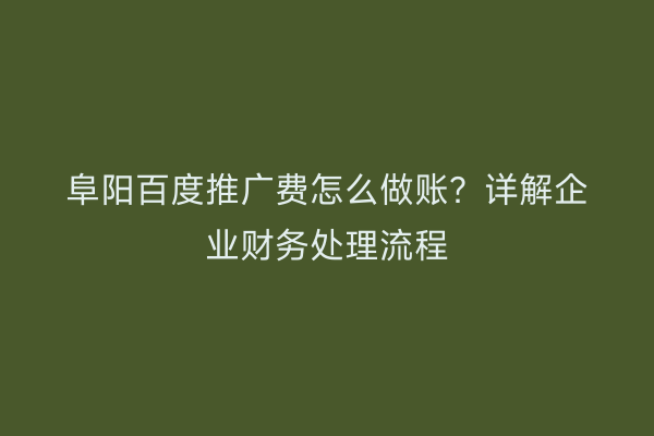 阜阳百度推广费怎么做账？详解企业财务处理流程