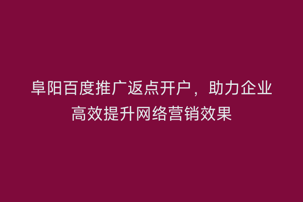 阜阳百度推广返点开户,助力企业高效提升网络营销效果