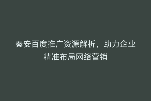 秦安百度推广资源解析,助力企业精准布局网络营销