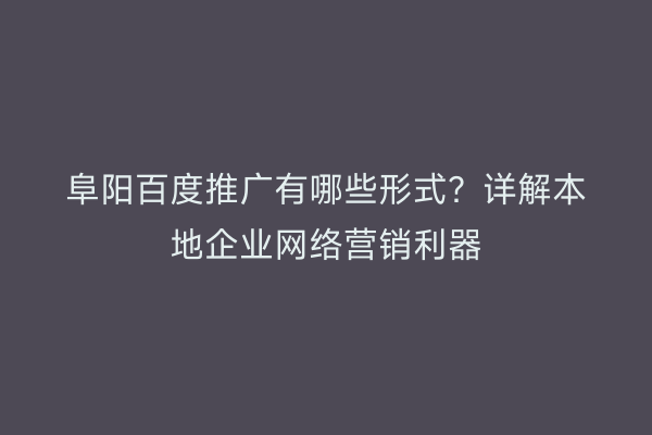 阜阳百度推广有哪些形式？详解本地企业网络营销利器