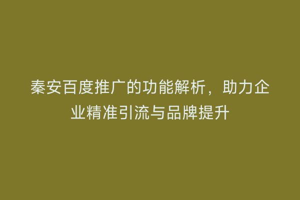 秦安百度推广的功能解析,助力企业精准引流与品牌提升