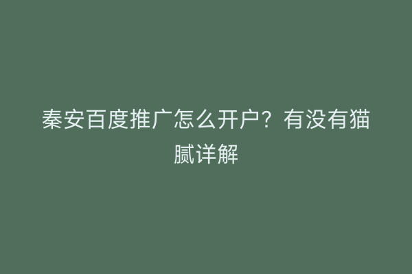 秦安百度推广怎么开户?有没有猫腻详解