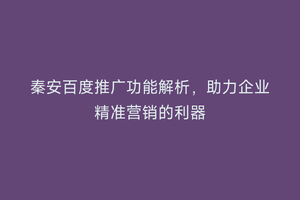 秦安百度推广功能解析,助力企业精准营销的利器