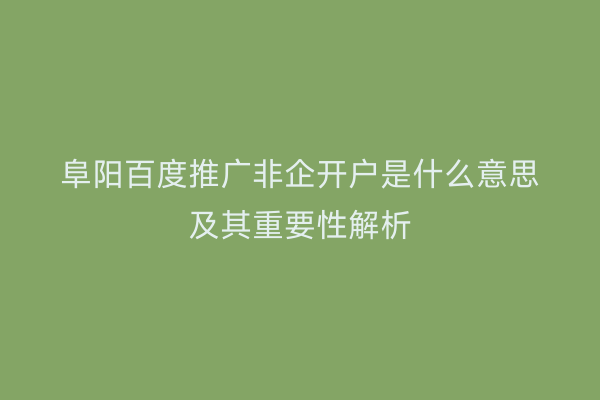 阜阳百度推广非企开户是什么意思及其重要性解析