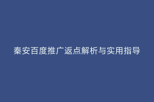 秦安百度推广返点解析与实用指导