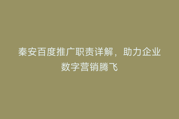 秦安百度推广职责详解,助力企业数字营销腾飞