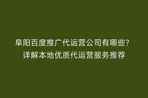 阜阳百度推广代运营公司有哪些?详解本地优质代运营服务推荐
