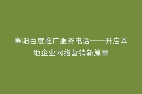 阜阳百度推广服务电话——开启本地企业网络营销新篇章