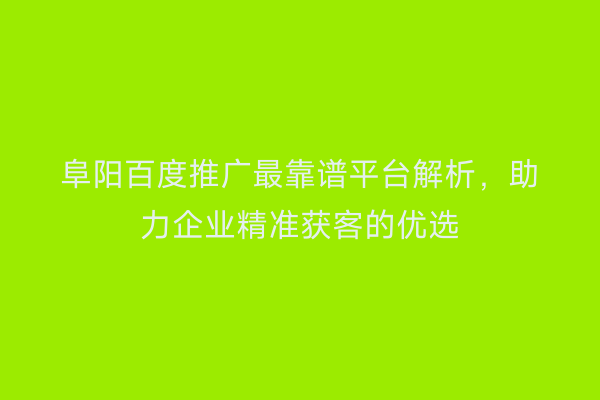 阜阳百度推广最靠谱平台解析，助力企业精准获客的优选