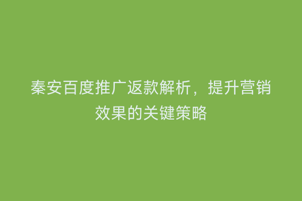 秦安百度推广返款解析,提升营销效果的关键策略