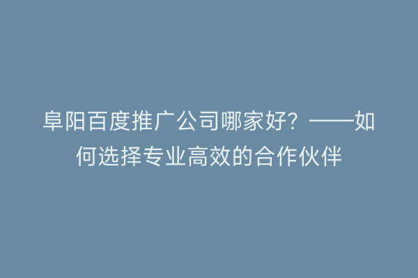 阜阳百度推广公司哪家好？——如何选择专业高效的合作伙伴