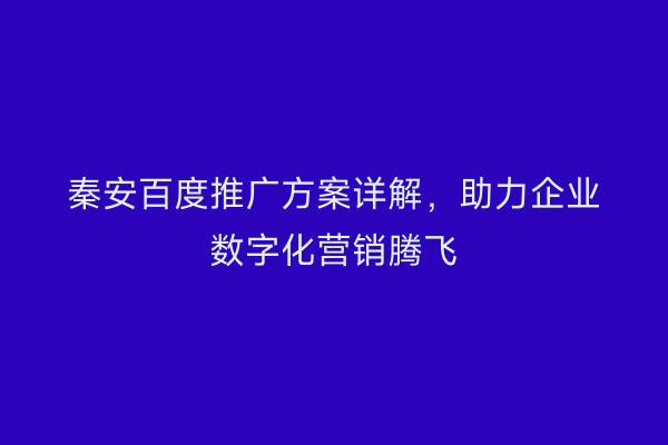 秦安百度推广方案详解,助力企业数字化营销腾飞