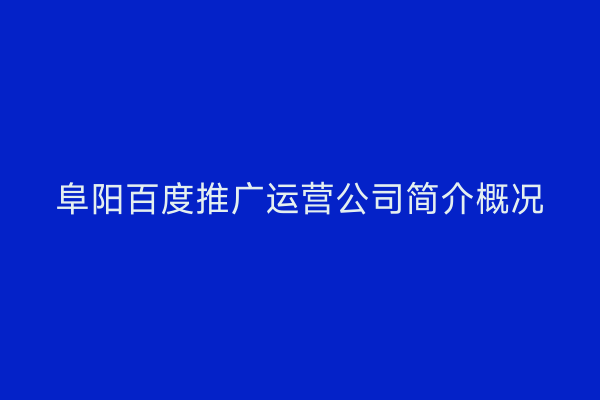 阜阳百度推广运营公司简介概况