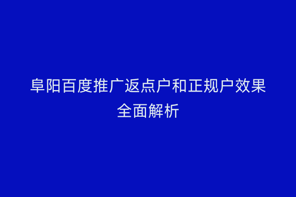 阜阳百度推广返点户和正规户效果全面解析