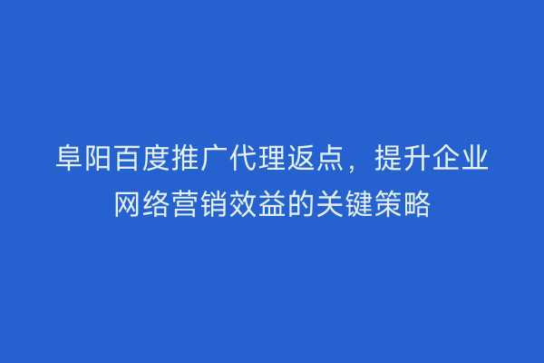 阜阳百度推广代理返点,提升企业网络营销效益的关键策略
