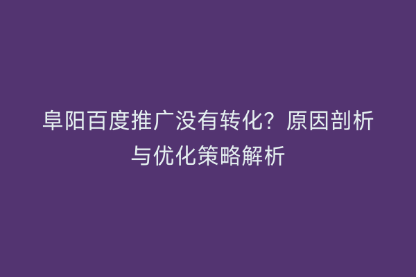 阜阳百度推广没有转化？原因剖析与优化策略解析