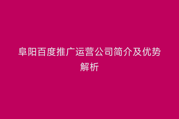 阜阳百度推广运营公司简介及优势解析