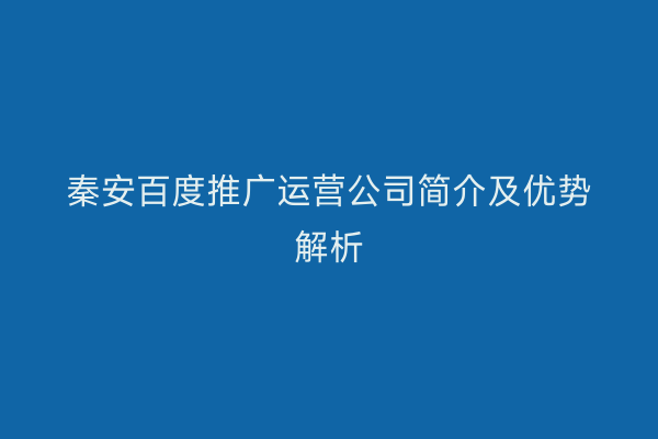 秦安百度推广运营公司简介及优势解析
