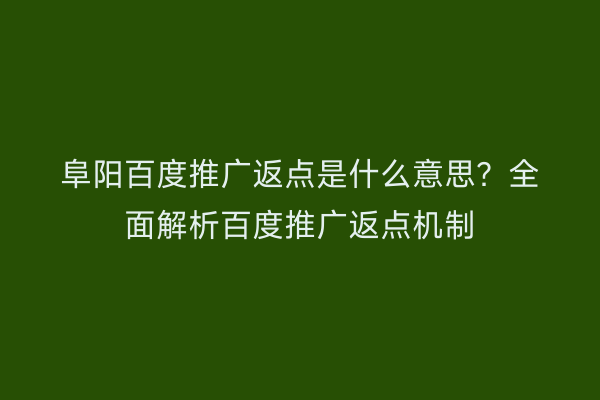 阜阳百度推广返点是什么意思?全面解析百度推广返点机制