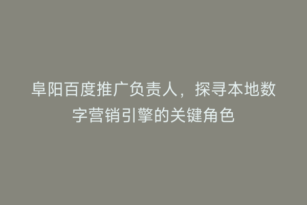 阜阳百度推广负责人，探寻本地数字营销引擎的关键角色