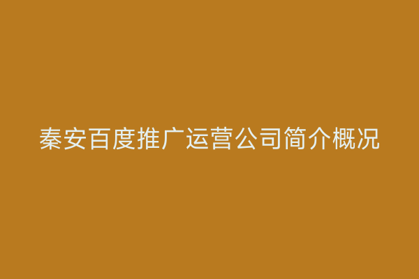 秦安百度推广运营公司简介概况