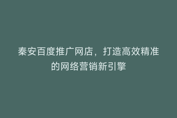 秦安百度推广网店,打造高效精准的网络营销新引擎