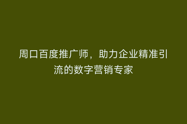 周口百度推广师,助力企业精准引流的数字营销专家