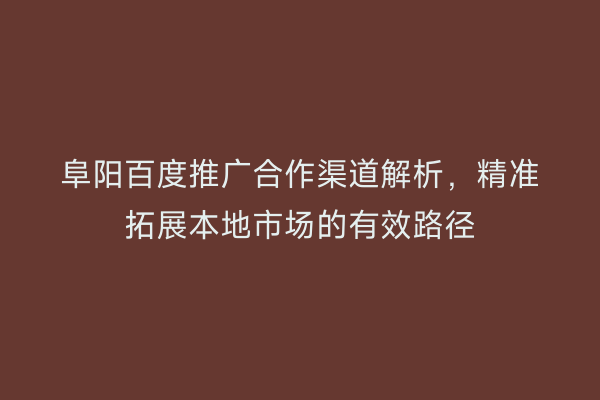 阜阳百度推广合作渠道解析，精准拓展本地市场的有效路径