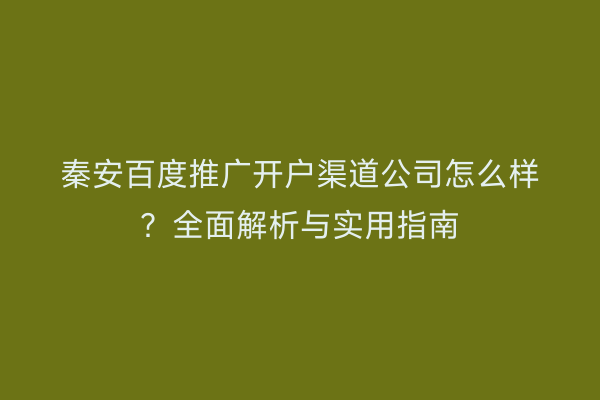 秦安百度推广开户渠道公司怎么样?全面解析与实用指南