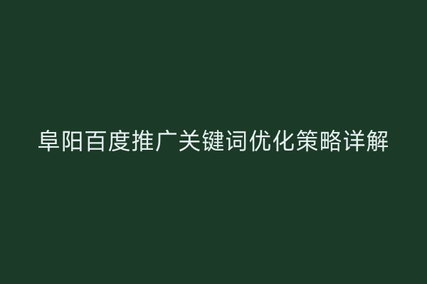 阜阳百度推广关键词优化策略详解