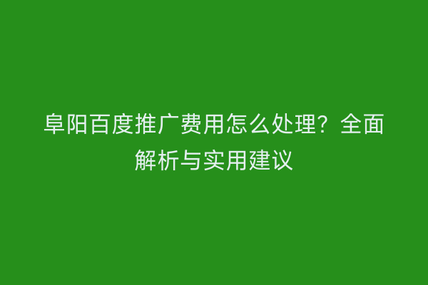 阜阳百度推广费用怎么处理?全面解析与实用建议
