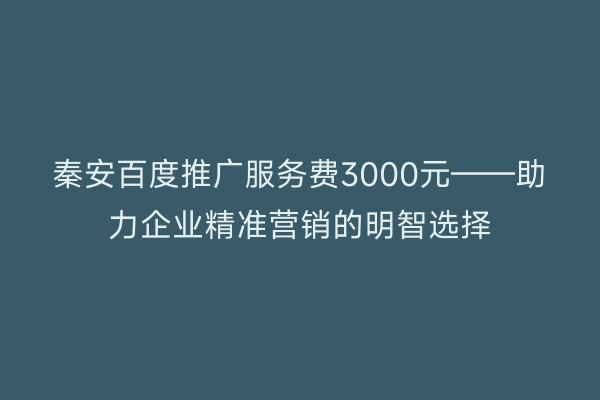 秦安百度推广服务费3000元——助力企业精准营销的明智选择