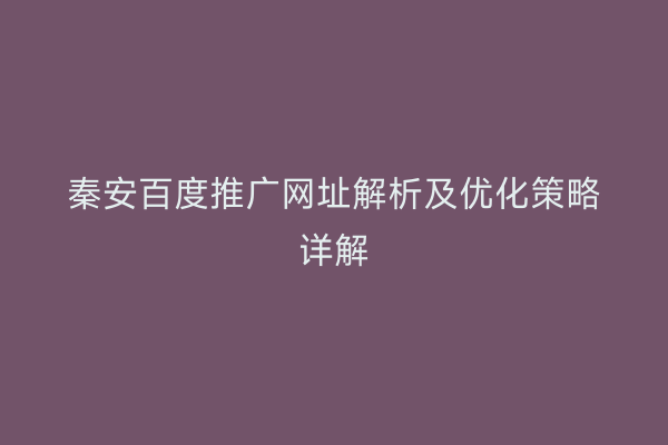 秦安百度推广网址解析及优化策略详解