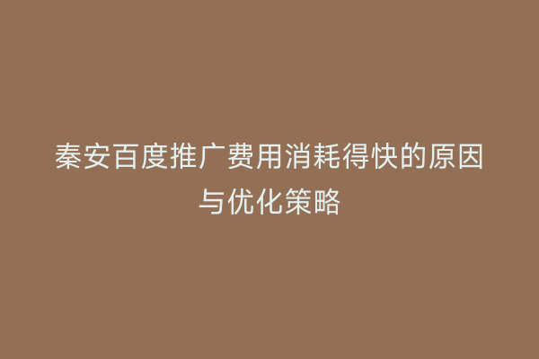 秦安百度推广费用消耗得快的原因与优化策略