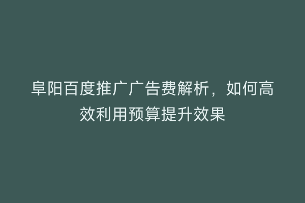 阜阳百度推广广告费解析，如何高效利用预算提升效果