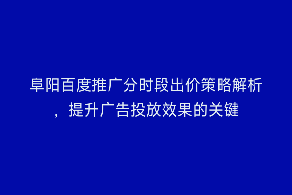 阜阳百度推广分时段出价策略解析，提升广告投放效果的关键