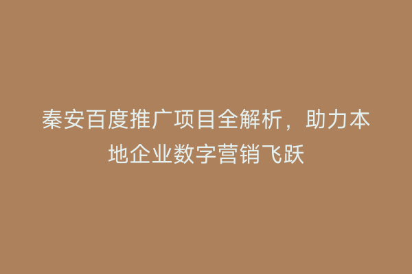 秦安百度推广项目全解析,助力本地企业数字营销飞跃