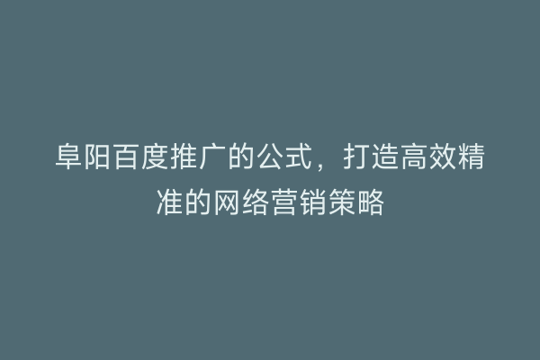 阜阳百度推广的公式，打造高效精准的网络营销策略